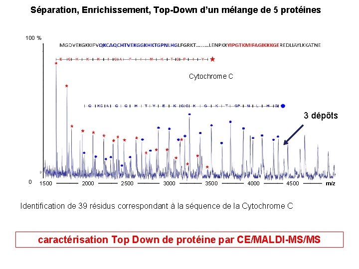 Séparation, Enrichissement, Top-Down d’un mélange de 5 protéines 100 % Cytochrome C 3 dépôts