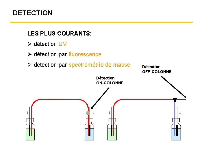 DETECTION LES PLUS COURANTS: détection UV détection par fluorescence détection par spectrométrie de masse