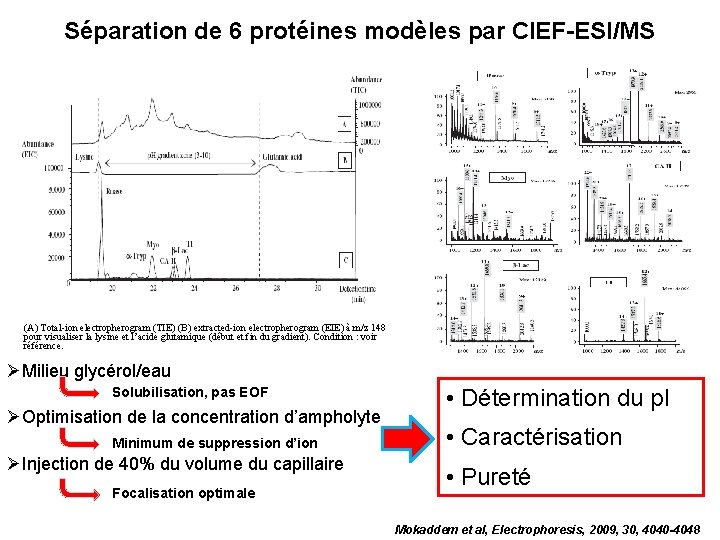 Séparation de 6 protéines modèles par CIEF-ESI/MS (A) Total-ion electropherogram (TIE) (B) extracted-ion electropherogram