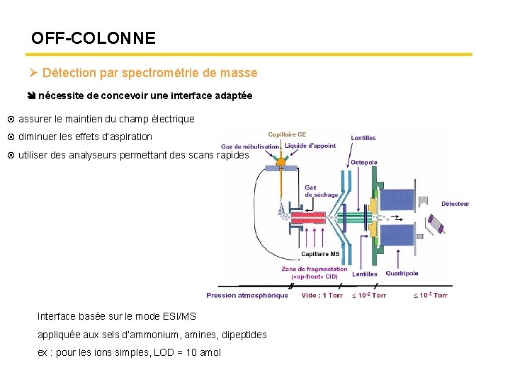 OFF-COLONNE Détection par spectrométrie de masse nécessite de concevoir une interface adaptée assurer le