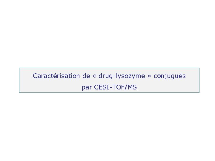 Caractérisation de « drug-lysozyme » conjugués par CESI-TOF/MS 