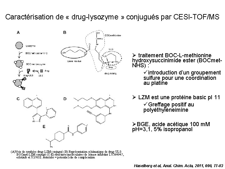 Caractérisation de « drug-lysozyme » conjugués par CESI-TOF/MS traitement BOC-L-methionine hydroxysuccinimide ester (BOCmet. NHS)