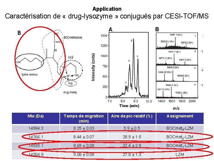 Application Caractérisation de « drug-lysozyme » conjugués par CESI-TOF/MS Mw (Da) Temps de migration