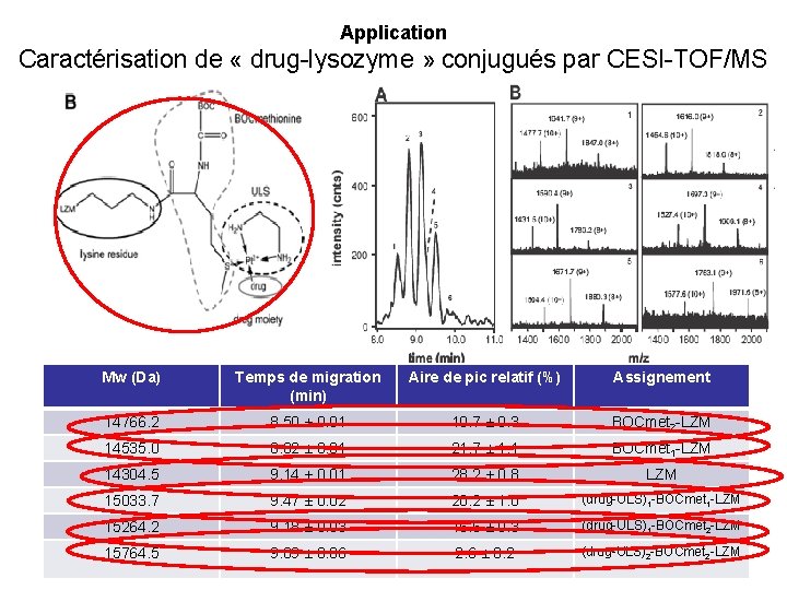 Application Caractérisation de « drug-lysozyme » conjugués par CESI-TOF/MS Mw (Da) Temps de migration