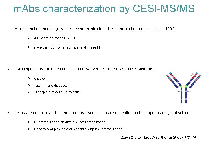 m. Abs characterization by CESI-MS/MS • • • Monoclonal antibodies (m. Abs) have been