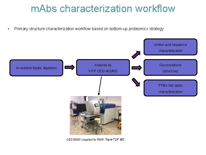 m. Abs characterization workflow • Primary structure characterization workflow based on bottom-up proteomics strategy