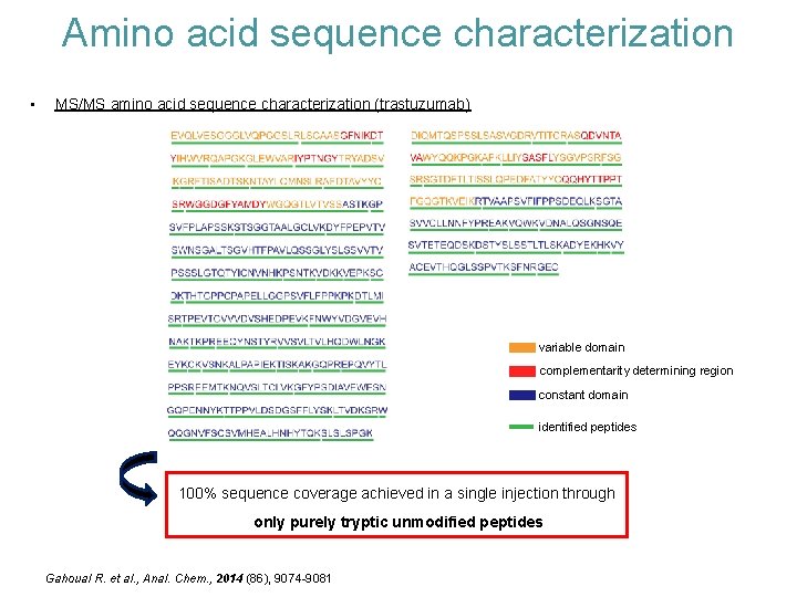 Amino acid sequence characterization • MS/MS amino acid sequence characterization (trastuzumab) variable domain complementarity