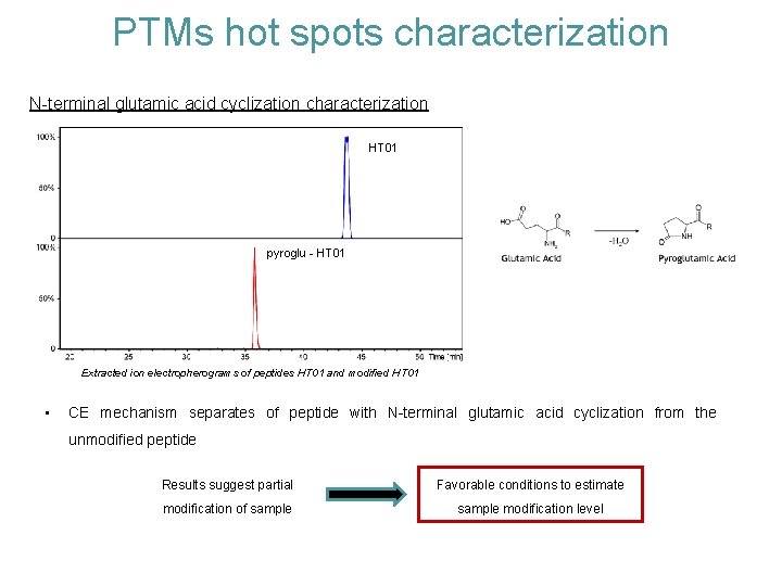 PTMs hot spots characterization N-terminal glutamic acid cyclization characterization HT 01 pyroglu - HT