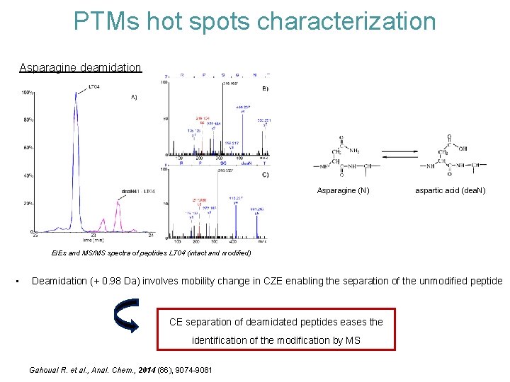 PTMs hot spots characterization Asparagine deamidation Asparagine (N) aspartic acid (dea. N) EIEs and