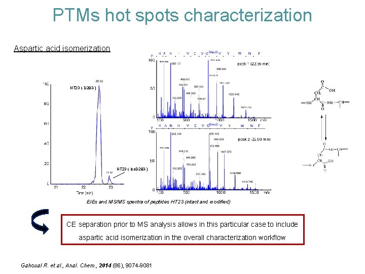 PTMs hot spots characterization Aspartic acid isomerization HT 23 (-D 283 -) HT 23
