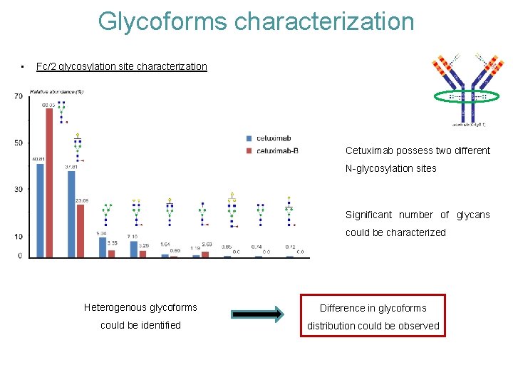 Glycoforms characterization • Fc/2 glycosylation site characterization Cetuximab possess two different N-glycosylation sites Significant