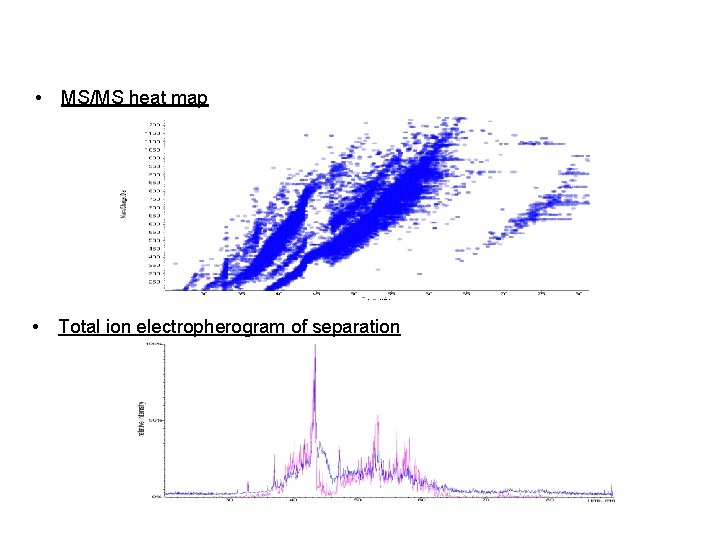 CESI Separation of Mitochondrial Tryptic Digest • MS/MS heat map • Total ion electropherogram