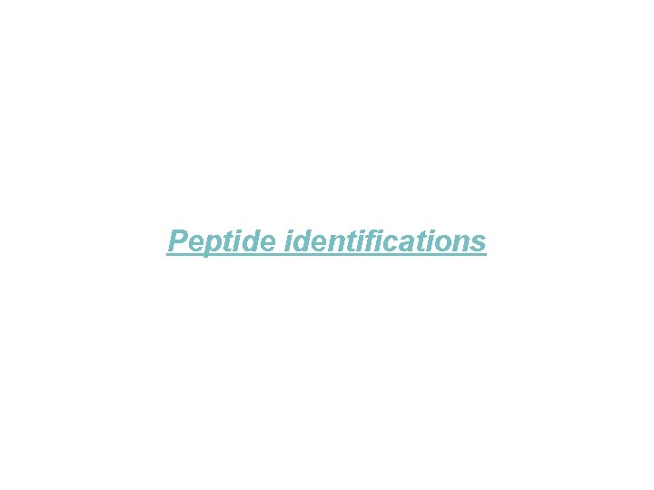 Peptide identifications 