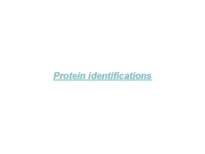 Protein identifications 