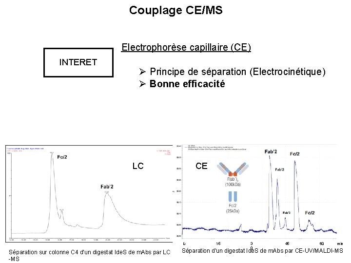 Couplage CE/MS I Electrophorèse capillaire (CE) INTERET Principe de séparation (Electrocinétique) Bonne efficacité LC