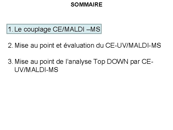 SOMMAIRE 1. Le couplage CE/MALDI –MS 2. Mise au point et évaluation du CE-UV/MALDI-MS