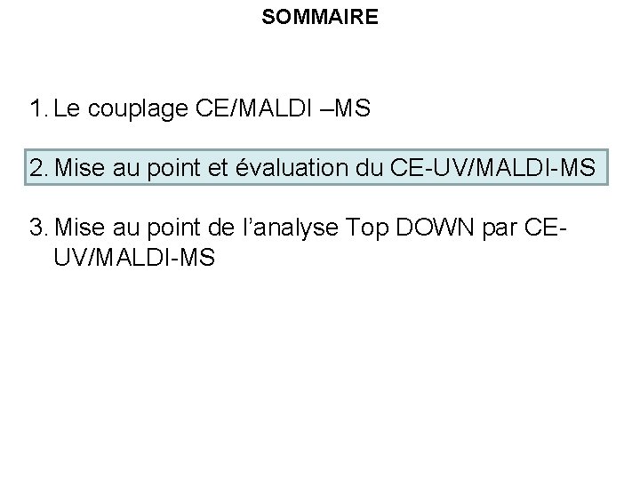 SOMMAIRE 1. Le couplage CE/MALDI –MS 2. Mise au point et évaluation du CE-UV/MALDI-MS