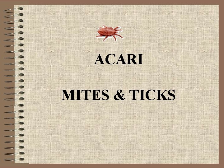 ACARI MITES & TICKS ACARI MITES & TICKS