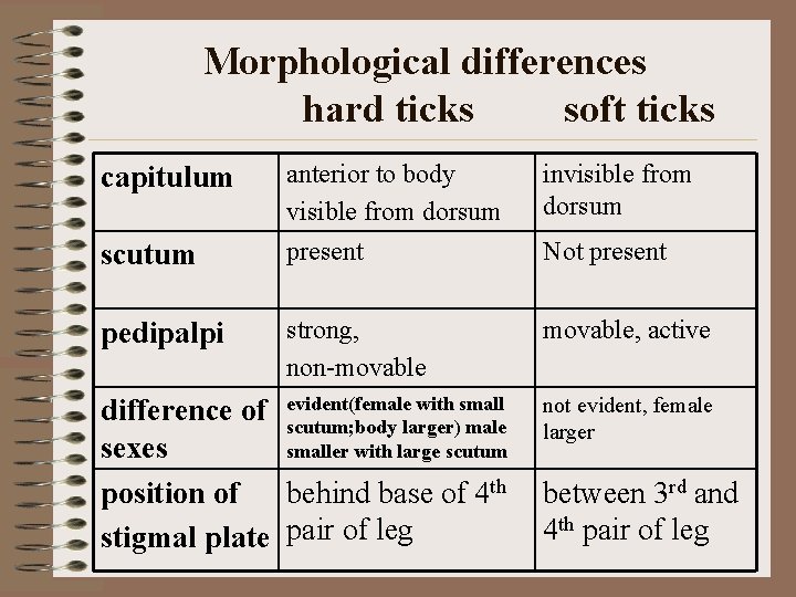 Morphological differences hard ticks soft ticks capitulum scutum pedipalpi anterior to body visible from Morphological differences hard ticks soft ticks capitulum scutum pedipalpi anterior to body visible from