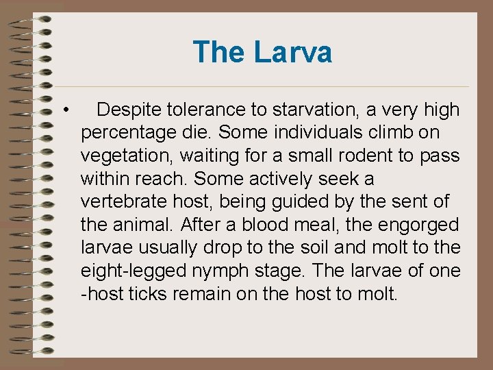 The Larva • Despite tolerance to starvation, a very high percentage die. Some individuals The Larva • Despite tolerance to starvation, a very high percentage die. Some individuals