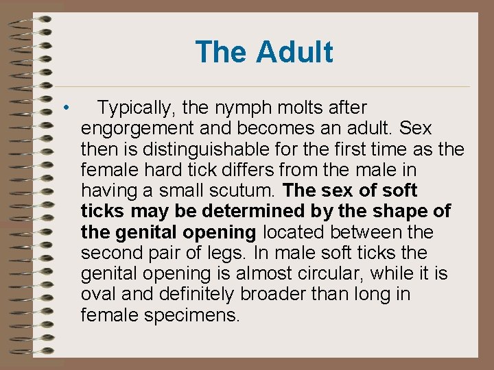 The Adult • Typically, the nymph molts after engorgement and becomes an adult. Sex The Adult • Typically, the nymph molts after engorgement and becomes an adult. Sex