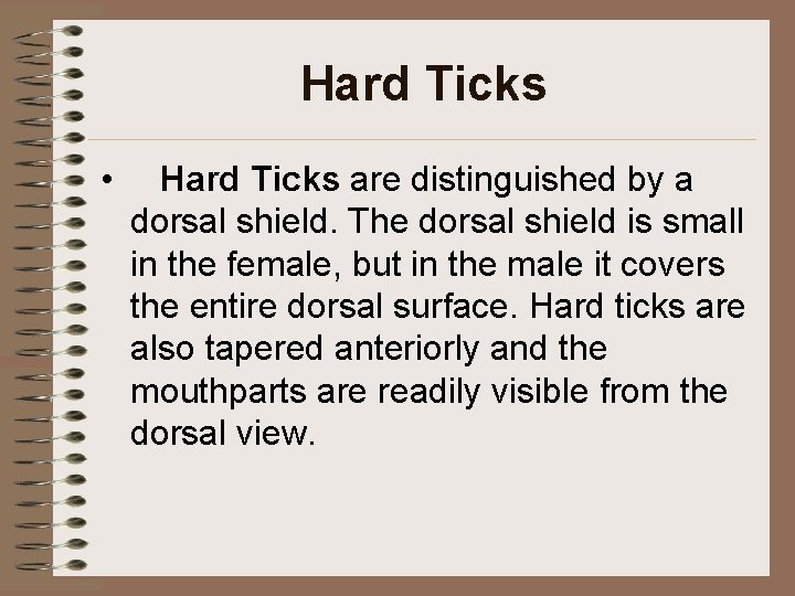 Hard Ticks • Hard Ticks are distinguished by a dorsal shield. The dorsal shield Hard Ticks • Hard Ticks are distinguished by a dorsal shield. The dorsal shield