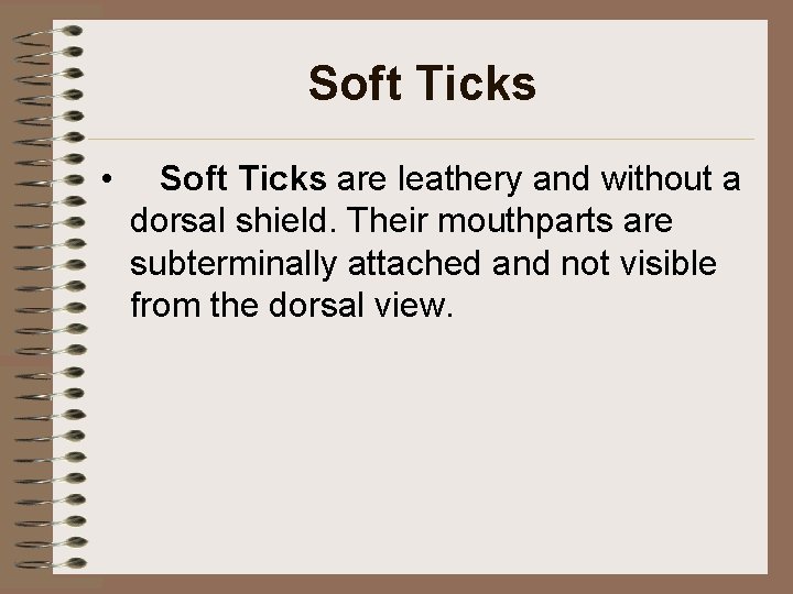 Soft Ticks • Soft Ticks are leathery and without a dorsal shield. Their mouthparts Soft Ticks • Soft Ticks are leathery and without a dorsal shield. Their mouthparts