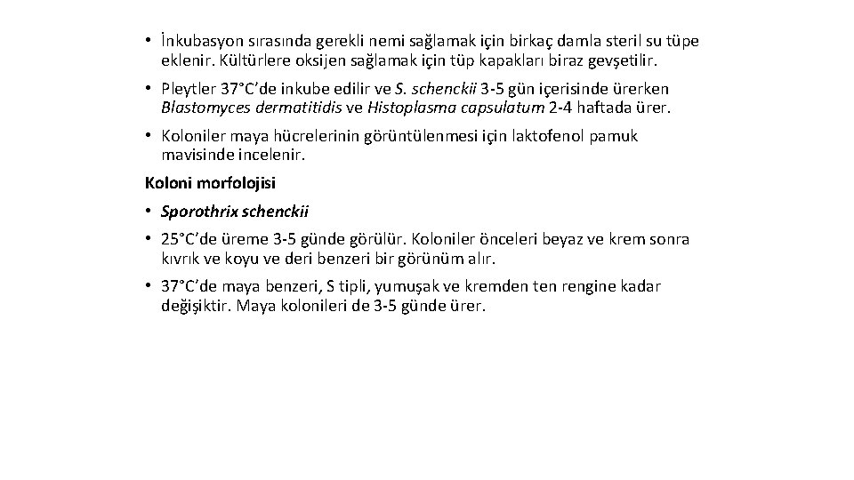  • İnkubasyon sırasında gerekli nemi sağlamak için birkaç damla steril su tüpe eklenir.