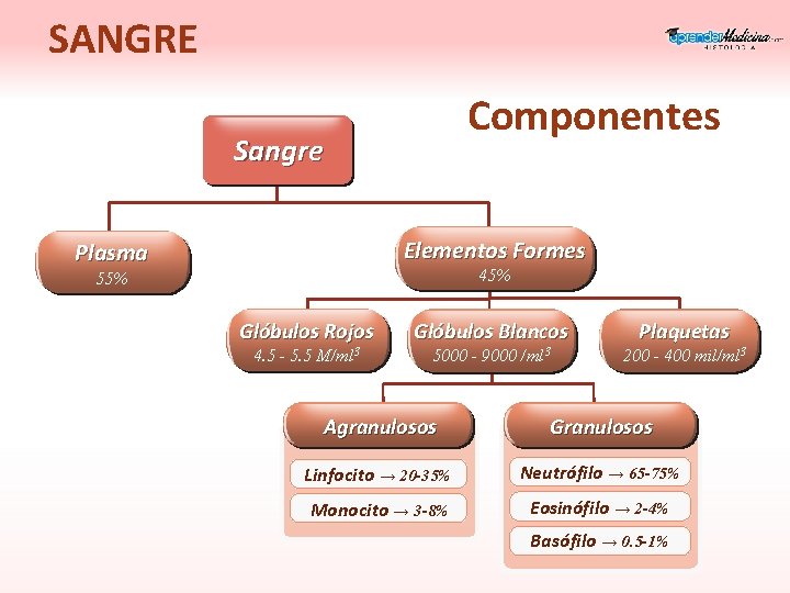 SANGRE Componentes Sangre Elementos Formes Plasma 45% 55% Glóbulos Rojos 4. 5 - 5.