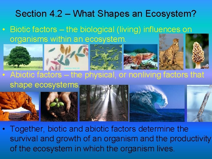 Section 4. 2 – What Shapes an Ecosystem? • Biotic factors – the biological