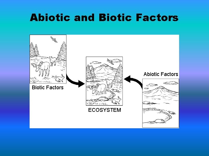 Abiotic and Biotic Factors Abiotic Factors Biotic Factors ECOSYSTEM 