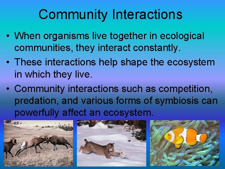 Community Interactions • When organisms live together in ecological communities, they interact constantly. •