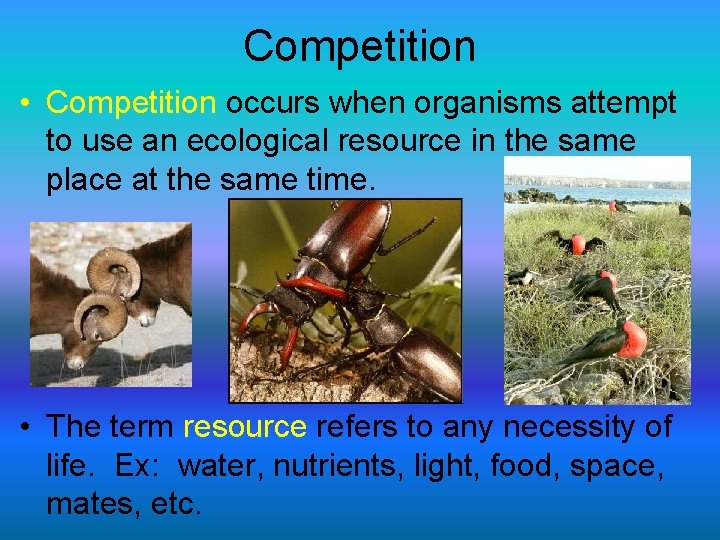 Competition • Competition occurs when organisms attempt to use an ecological resource in the