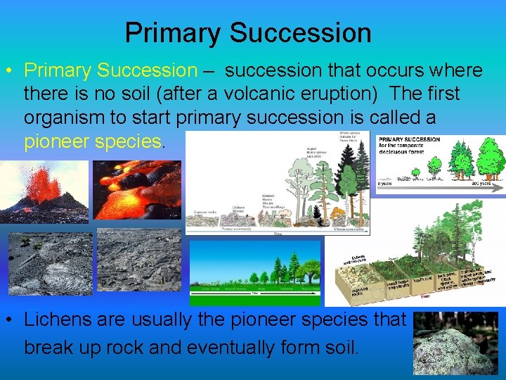 Primary Succession • Primary Succession – succession that occurs where there is no soil