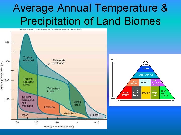 Average Annual Temperature & Precipitation of Land Biomes 