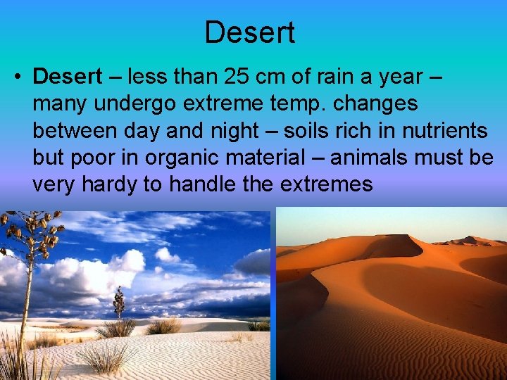 Desert • Desert – less than 25 cm of rain a year – many