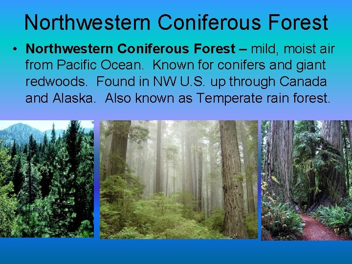 Northwestern Coniferous Forest • Northwestern Coniferous Forest – mild, moist air from Pacific Ocean.