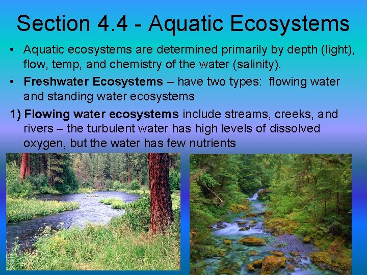 Section 4. 4 - Aquatic Ecosystems • Aquatic ecosystems are determined primarily by depth