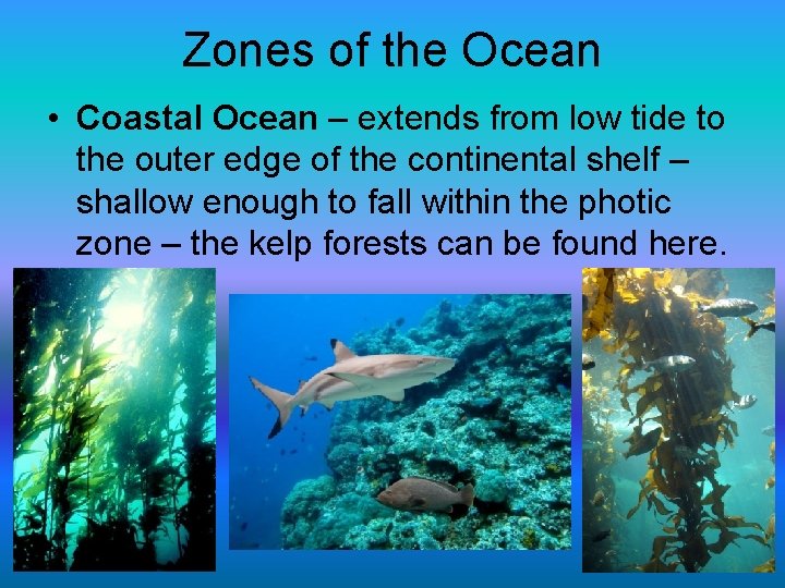 Zones of the Ocean • Coastal Ocean – extends from low tide to the