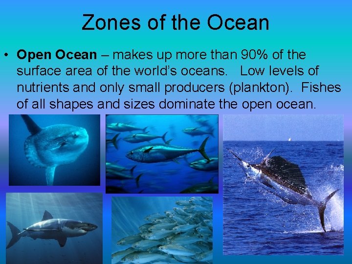 Zones of the Ocean • Open Ocean – makes up more than 90% of