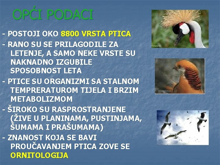 OPĆI PODACI - POSTOJI OKO 8800 VRSTA PTICA - RANO SU SE PRILAGODILE ZA