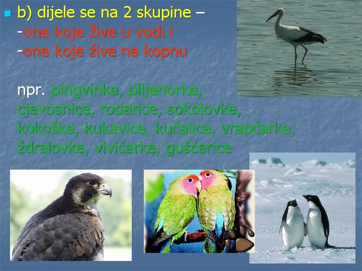 n b) dijele se na 2 skupine – -one koje žive u vodi i