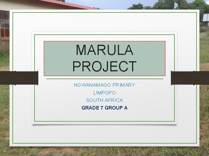 MARULA PROJECT NGWANAMAGO PRIMARY LIMPOPO SOUTH AFRICA GRADE 7 GROUP A MARULA PROJECT NGWANAMAGO PRIMARY LIMPOPO SOUTH AFRICA GRADE 7 GROUP A