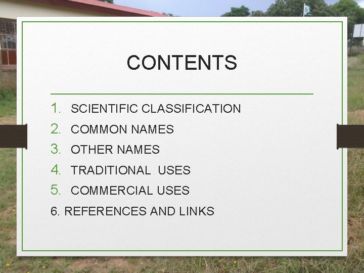 CONTENTS 1. 2. 3. 4. 5. SCIENTIFIC CLASSIFICATION COMMON NAMES OTHER NAMES TRADITIONAL USES CONTENTS 1. 2. 3. 4. 5. SCIENTIFIC CLASSIFICATION COMMON NAMES OTHER NAMES TRADITIONAL USES