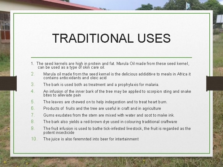 TRADITIONAL USES 1. The seed kernels are high in protein and fat. Marula Oil TRADITIONAL USES 1. The seed kernels are high in protein and fat. Marula Oil