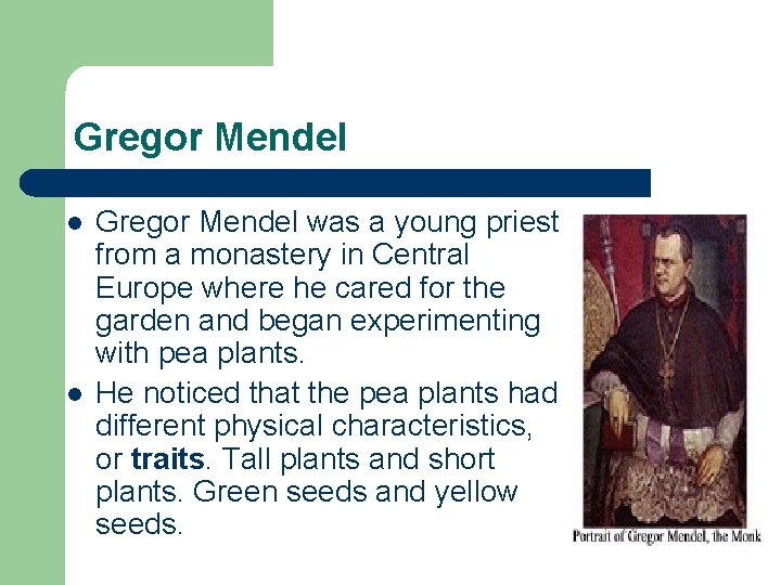 Gregor Mendel l l Gregor Mendel was a young priest from a monastery in