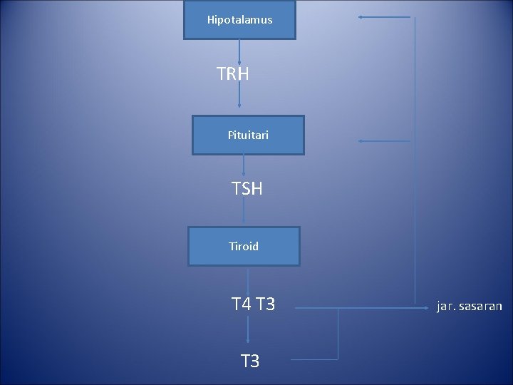 Hipotalamus TRH Pituitari TSH Tiroid T 4 T 3 jar. sasaran Hipotalamus TRH Pituitari TSH Tiroid T 4 T 3 jar. sasaran
