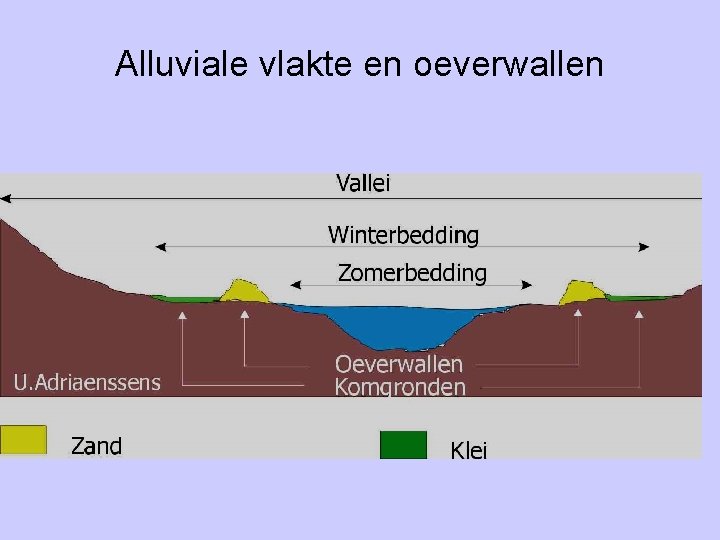Alluviale vlakte en oeverwallen 