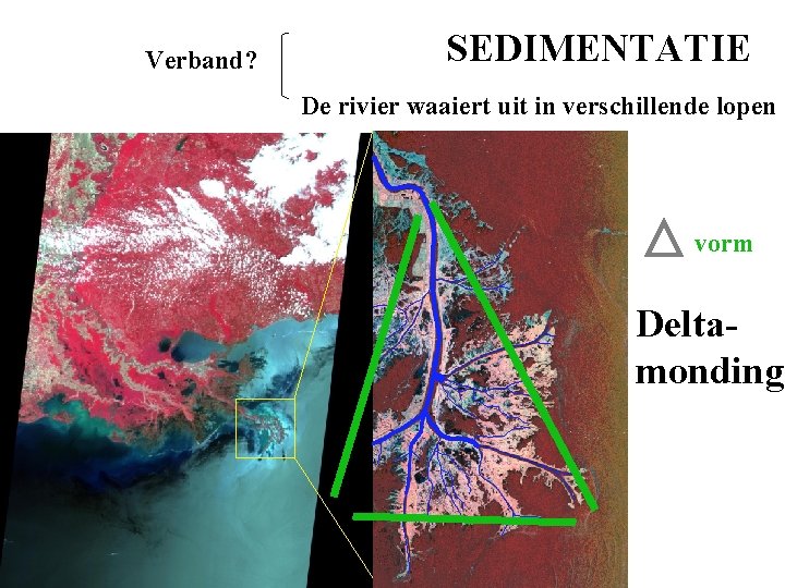 Verband? SEDIMENTATIE De rivier waaiert uit in verschillende lopen vorm Deltamonding 