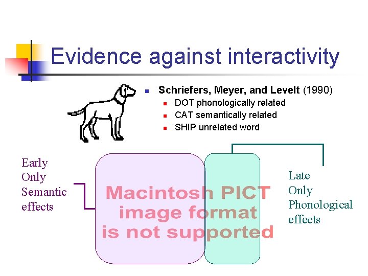 Evidence against interactivity n Schriefers, Meyer, and Levelt (1990) n n n Early Only